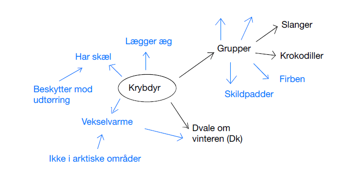Dette er et mindmap lavet ud fra ordet Krybdyr i programmet Cmap.