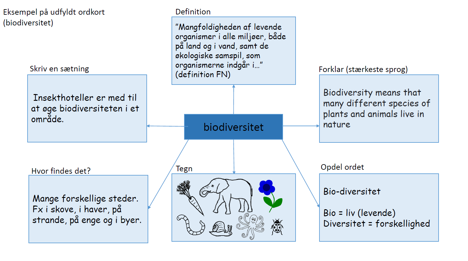 Billedet viser, hvordan et ordkort kan udfyldes med forklaringer på ordet biodiversitet.