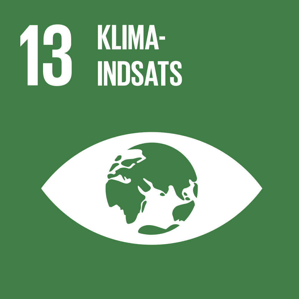 Ikon for verdensmål 13: Klimaindsats
