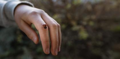 En mariehøne er havnet på fingeren af en elev Fotograf: Katrine Catalan