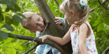 to børn klatrer i træer