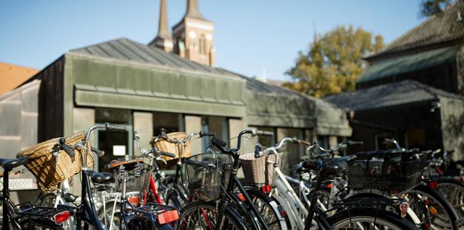 Tidligere "nyt Fra Fagkonsulenten" - Biologi - STX | Emu.dk